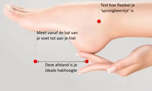 Ideale hakhoogte (vrouwen)